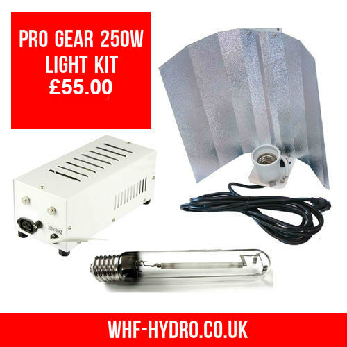 Pro Gear 250w Light Kit